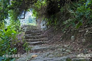 瓊中百花嶺風景區-登山道照片