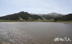 烏魯木齊天山大峽谷旅遊攻略之天鵝湖景區
