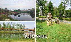 成都锦城湖湿地公园驴友相册