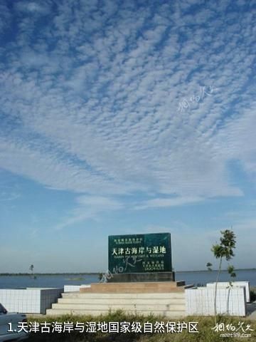 天津古海岸与湿地国家级自然保护区照片