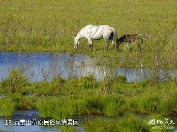 镇赉莫莫格国家级自然保护区-万宝山草原民俗风情景区照片