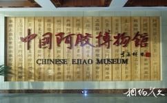 中國阿膠博物館旅遊攻略之1序廳