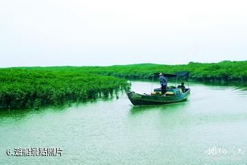 福建漳江口紅樹林國家級自然保護區-遊船照片