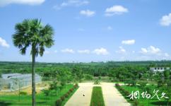 湛江南亚热带植物园旅游攻略之绿色广场