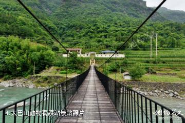 重慶城口亢谷風景區-大巴山動物養護站照片