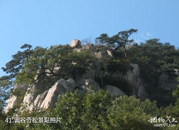 泰安新泰魯商·新甫山景區-雲谷奇松照片