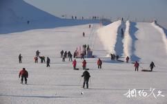 齊齊哈爾明月島旅遊攻略之明月島滑雪場