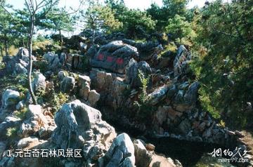 元古奇石林风景区照片