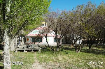 新疆天山野生动物园-步行观赏区照片