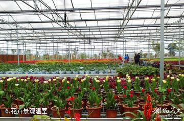 句容岩藤农场-花卉景观温室照片