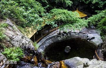 兴隆天子山风景区-碧莲池照片