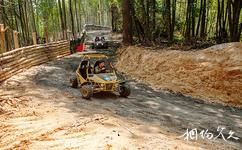 廣西高峰森林公園旅遊攻略之山地越野森林卡丁車