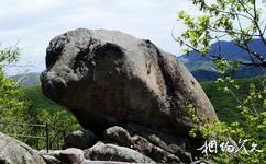 吉林朱雀山國家森林公園旅遊攻略之神豬石