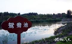 山西孝河國家濕地公園旅遊攻略之鴛鴦池