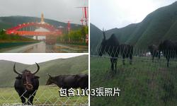 中甸納帕海驢友相冊