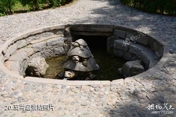 涿鹿黃帝城遺址文化旅遊區-萬壽龜照片