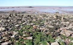 加拿大喬金斯化石斷崖旅遊攻略之遺址群