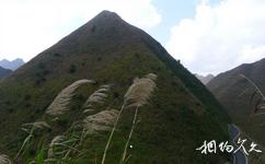 广西七百弄国家地质公园旅游攻略之金字塔峰