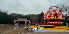 上海龍華烈士陵園驢友相冊