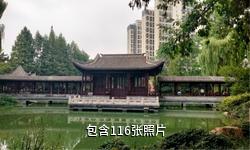 新沂城南馨园驴友相册