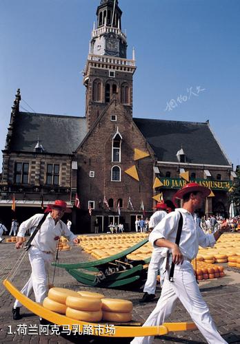 荷兰阿克马乳酪市场照片