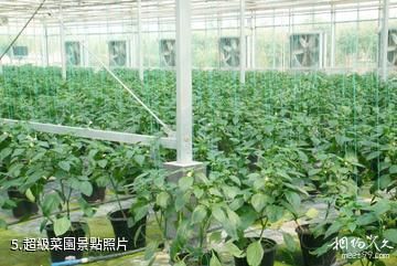 楊凌現代農業示範園創新園-超級菜園照片