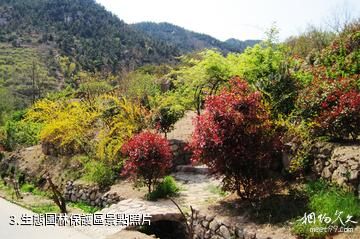 青島百雀林生態觀光園-生態園林保護區照片