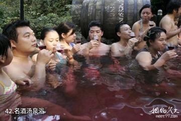 忻州市定襄凤凰山景区-名酒汤泉浴照片