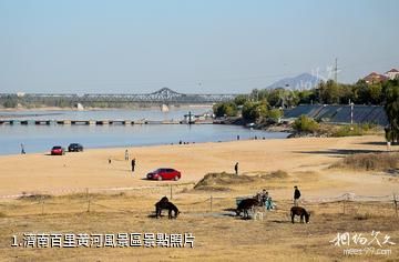 濟南百里黃河風景區照片