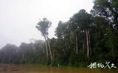 馬來西亞沙巴島旅遊攻略之京那巴登岸河