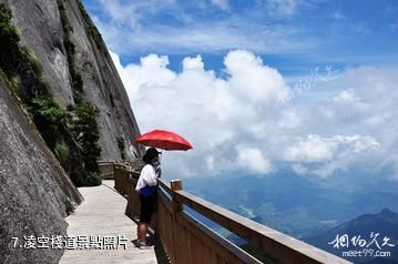 福建閩江源國家級自然保護區-凌空棧道照片