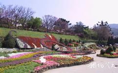 台北陽明山國家公園旅遊攻略之龍鳳谷硫磺谷遊憩區