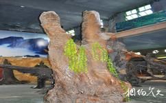 興隆南國熱帶雨林遊覽區旅遊攻略之根雕展館