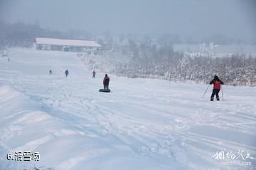 玛纳斯黑梁湾山庄-滑雪场照片