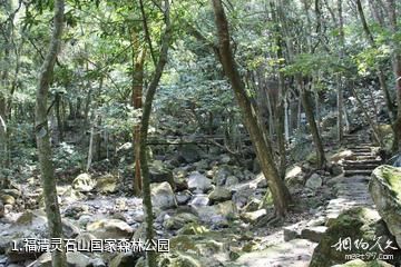 福清灵石山国家森林公园照片