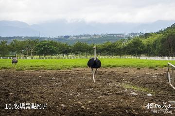 台灣花蓮花東縱谷國家風景區-牧場照片