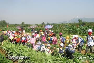 廣州快活田心社農家樂-生態菜園照片