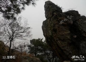 安庆莲洞国家森林公园-龙啸石照片