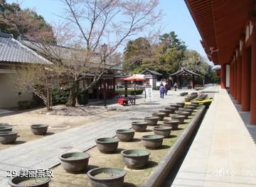 日本药师寺-美丽景致照片