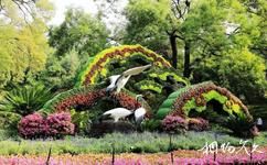 北京頤和園旅遊攻略之秋韻文化節