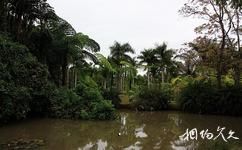 泰国清迈旅游攻略之清迈植物园