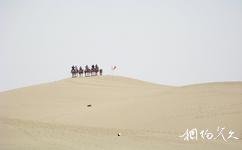 新疆罗布人村寨旅游攻略之塔克拉玛干沙漠