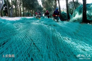 舟山蚂蚁岛-织鱼网照片