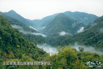云南黄连山国家级自然保护区照片