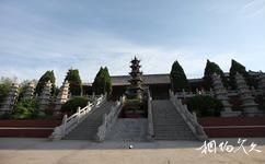 枣庄甘泉禅寺旅游攻略之塔林