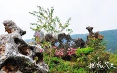 河南丹江大觀苑旅遊攻略之石林