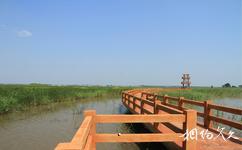 哈尔滨呼兰河口湿地公园旅游攻略之自然观光游览区