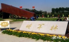 北京朝阳公园旅游攻略之将军林