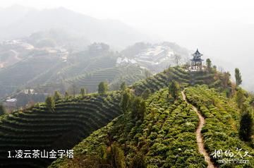 凌云茶山金字塔照片