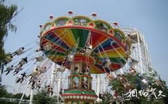 濰坊富華遊樂園旅遊攻略之颶風飛椅